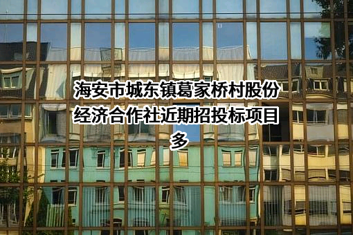 海安市城东镇葛家桥村股份经济合作社