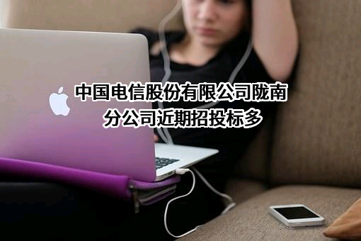 中国电信股份有限公司陇南分公司近期招投标项目多