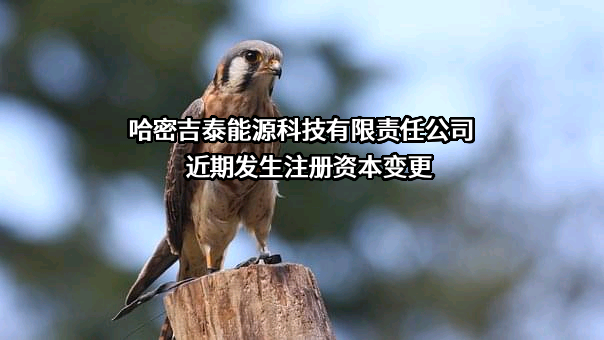 哈密吉泰能源科技有限责任公司近期发生注册资本变更