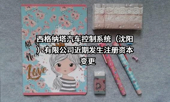 西格纳塔汽车控制系统（沈阳）有限公司