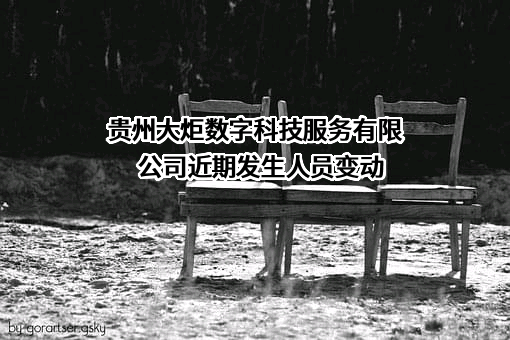 贵州大炬数字科技服务有限公司