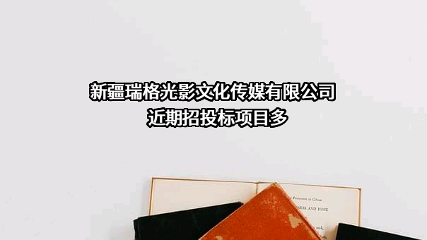 新疆瑞格光影文化传媒有限公司
