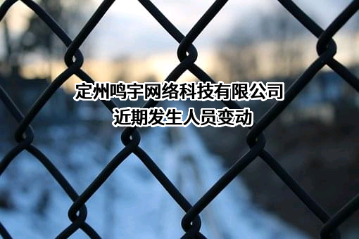 定州鸣宇网络科技有限公司