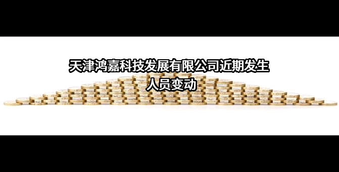 天津鸿嘉科技发展有限公司