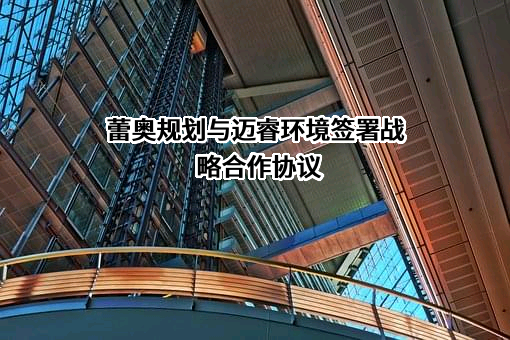深圳市蕾奥规划设计咨询股份有限公司