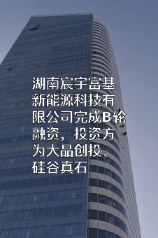 湖南宸宇富基新能源科技有限公司