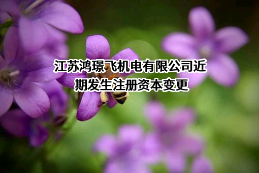 江苏鸿璟飞机电有限公司