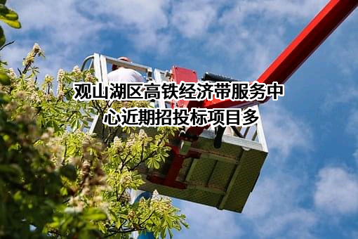 观山湖区高铁经济带服务中心近期招投标项目多