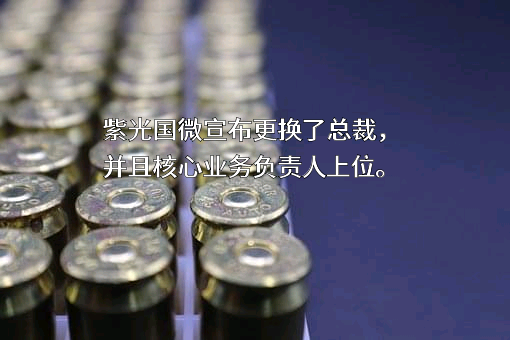 紫光国芯微电子股份有限公司