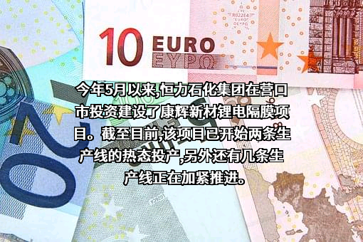 恒力石化股份有限公司