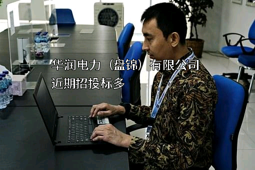 华润电力（盘锦）有限公司