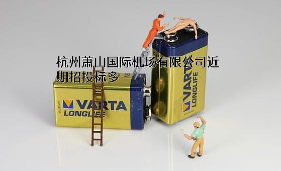 杭州萧山国际机场有限公司