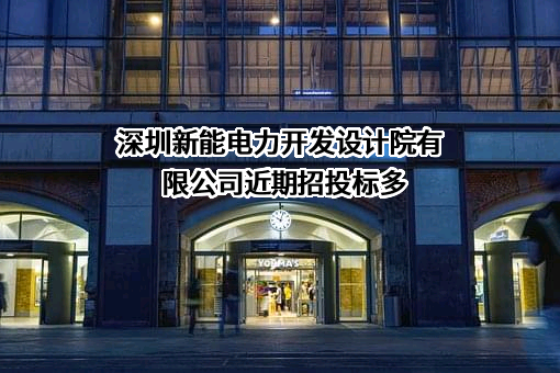 深圳新能电力开发设计院有限公司