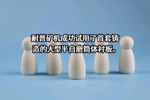 江西耐普矿机股份有限公司