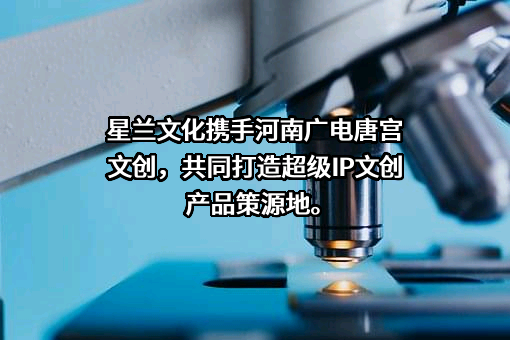 杭州星兰文化发展（集团）有限公司