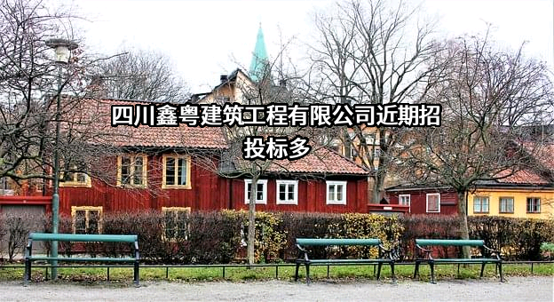 四川鑫粤建筑工程有限公司