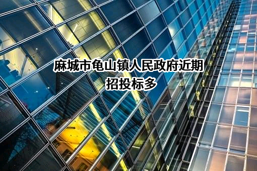 麻城市龟山镇人民政府