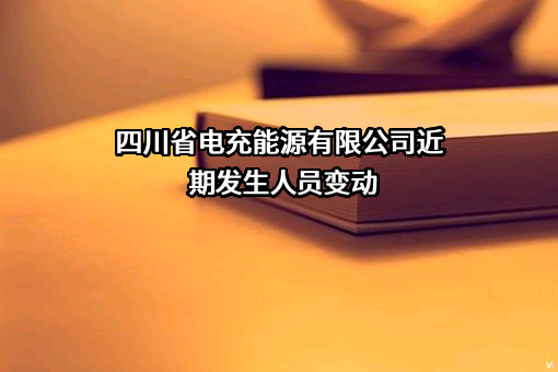 四川省电充能源有限公司