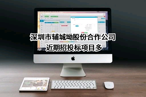 深圳市辅城坳股份合作公司