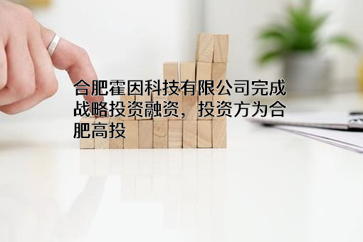 合肥霍因科技有限公司