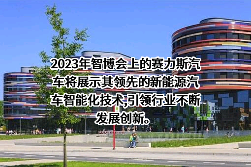 上海赛力斯汽车销售服务有限公司