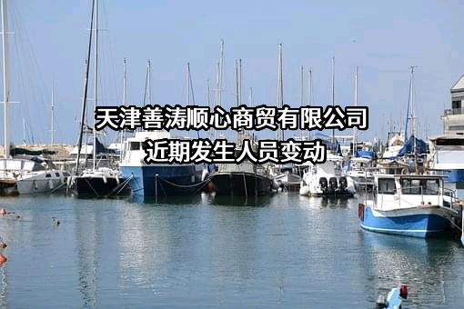 天津善涛顺心商贸有限公司
