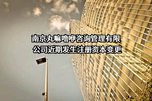 南京丸嘛噜咿咨询管理有限公司