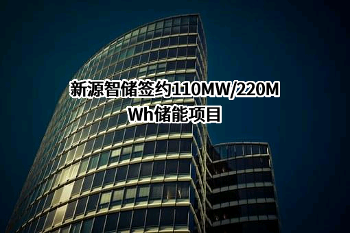 新源智储能源发展（北京）有限公司