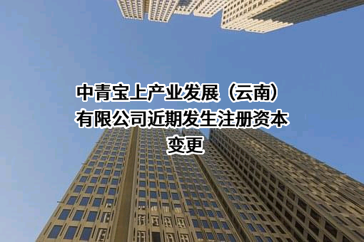 中青宝上产业发展（云南）有限公司
