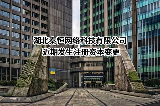 湖北秦恒网络科技有限公司