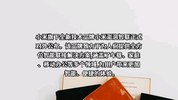 小米科技有限责任公司