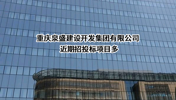 重庆泉盛建设开发集团有限公司
