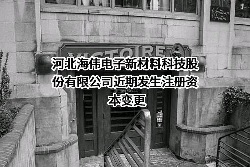 河北海伟电子新材料科技股份有限公司