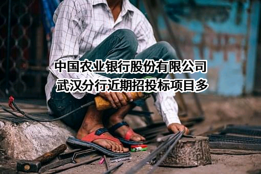 中国农业银行股份有限公司武汉分行