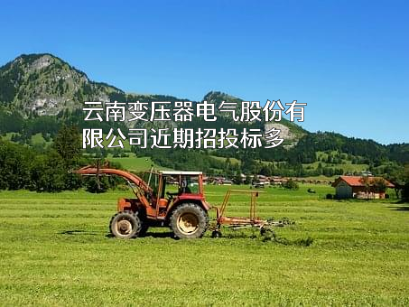 云南变压器电气股份有限公司