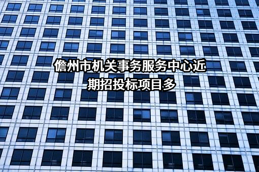 儋州市机关事务服务中心