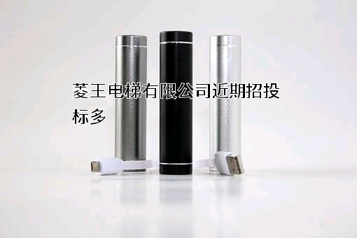 菱王电梯有限公司
