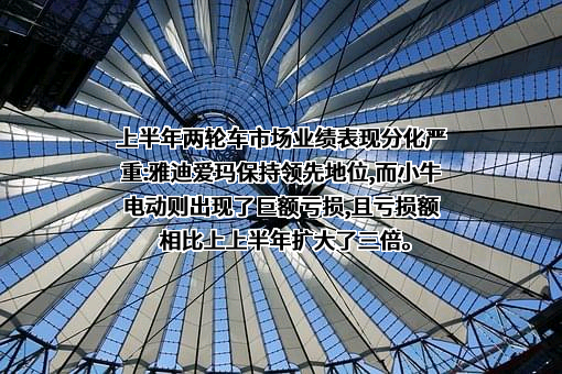 江苏新日电动车股份有限公司