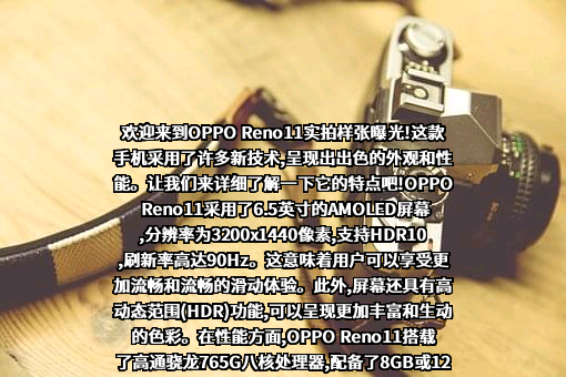 OPPO广东移动通信有限公司