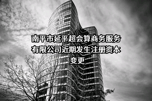 南平市延平超会算商务服务有限公司