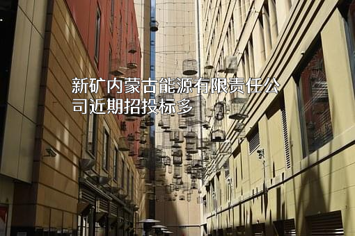 新矿内蒙古能源有限责任公司