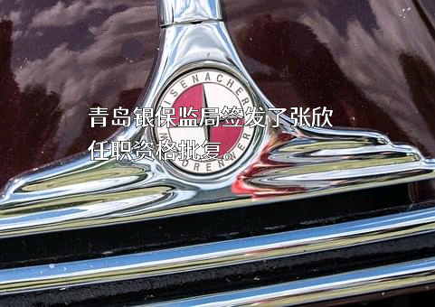 领航国际保险经纪有限公司