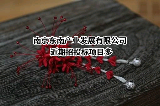 南京东南产业发展有限公司