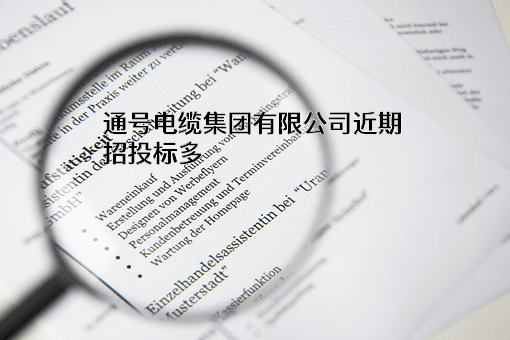 通号电缆集团有限公司
