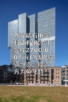 西安精石电气科技有限公司