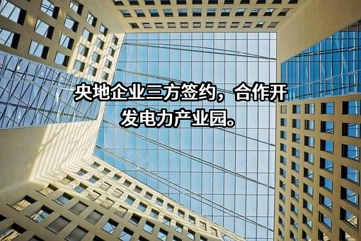 国家电投集团山东能源发展有限公司