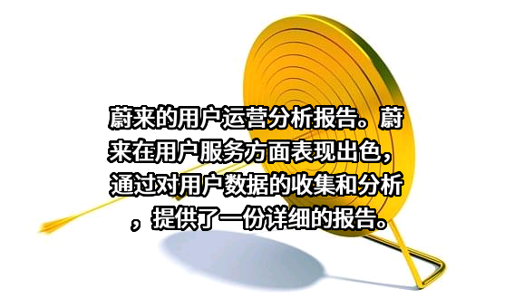 上海蔚来汽车有限公司