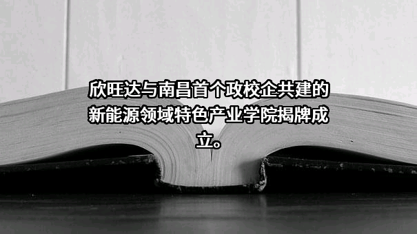 欣旺达电子股份有限公司