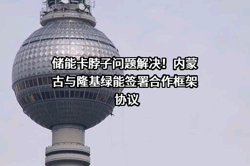 隆基绿能科技股份有限公司