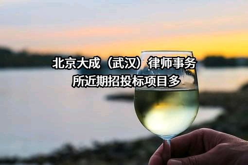 北京大成（武汉）律师事务所近期招投标项目多